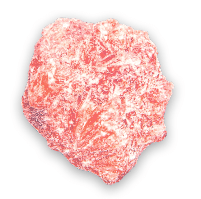 buy psychedelic mushroom online