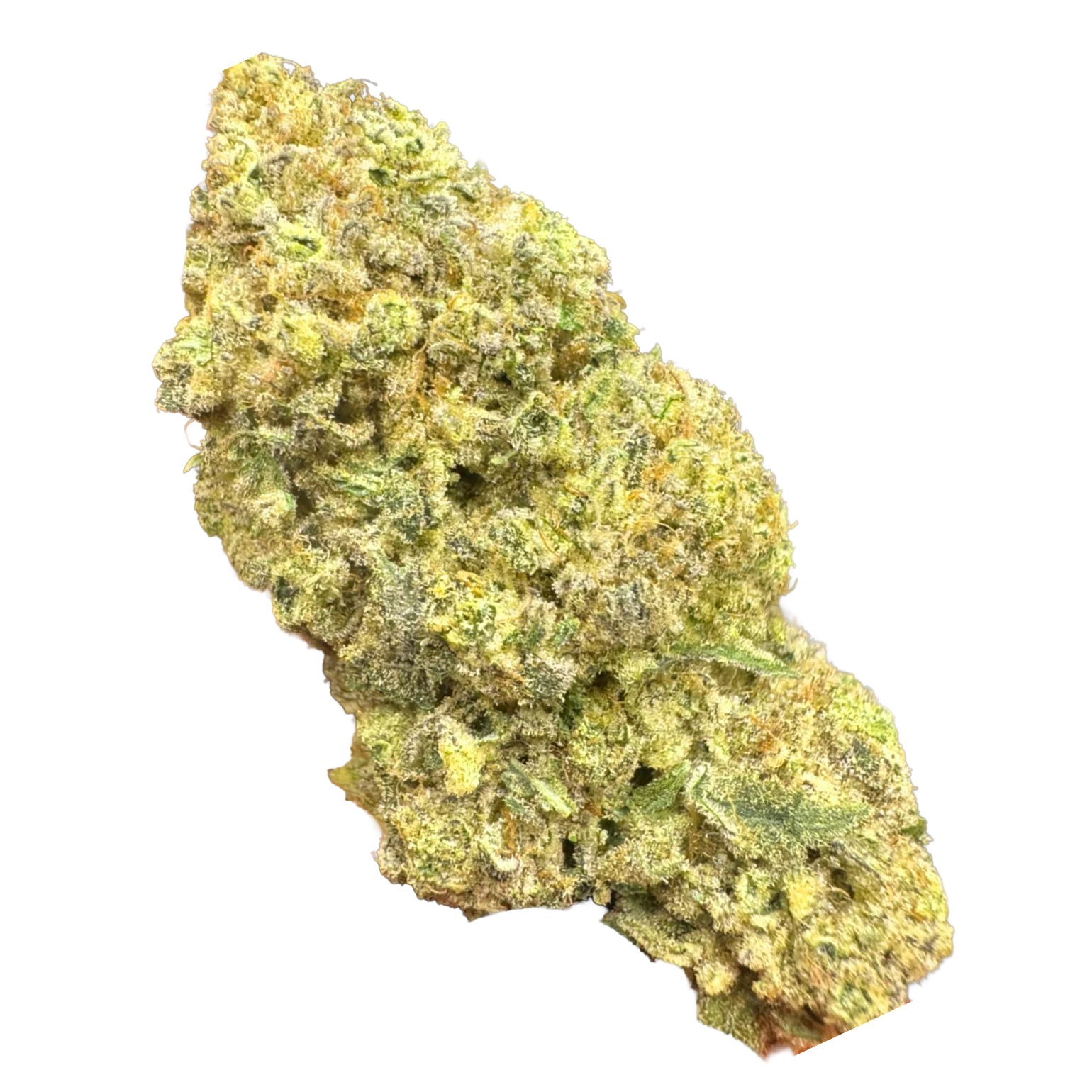buy bulk weed